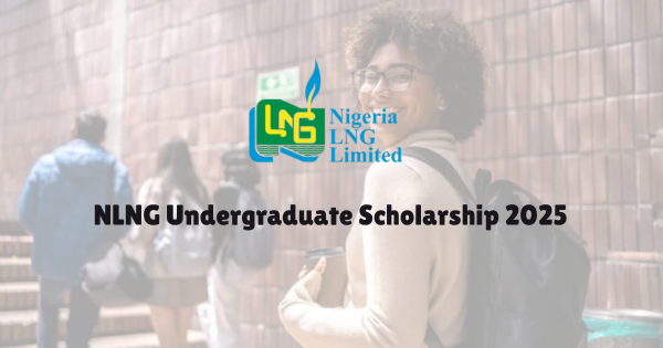 NLNG Undergraduate Scholarship 2025