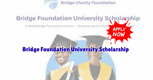 Bridge Foundation University Scholarship