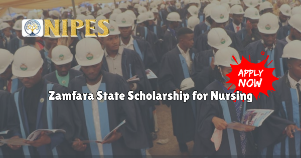NIPES Scholarship